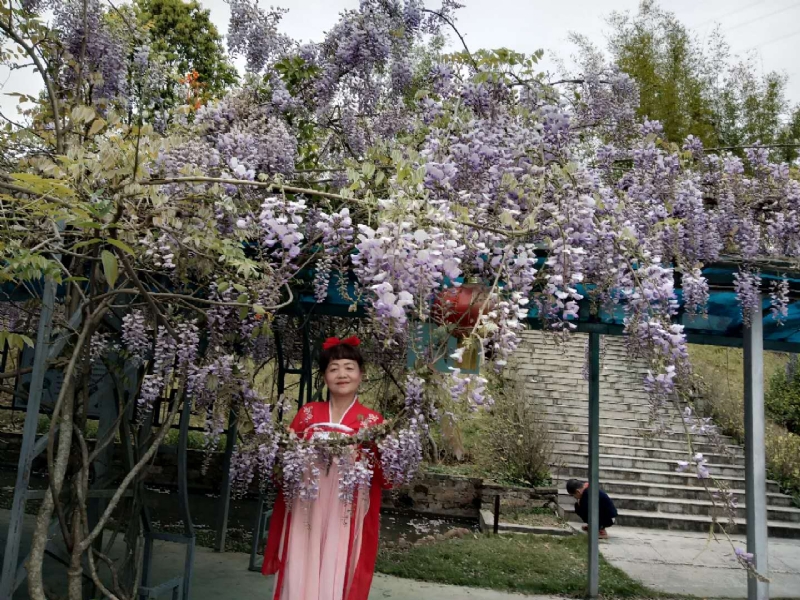 莉莉的第一张照片--松溪婚介网
