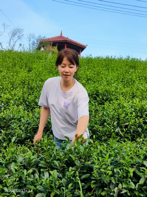 Q绮芳的第一张照片--松溪婚介网
